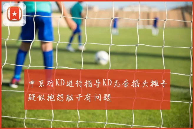 申京对KD进行指导KD无奈摇头摊手疑似抱怨脑子有问题