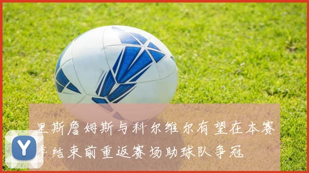 里斯詹姆斯与科尔维尔有望在本赛季结束前重返赛场助球队争冠